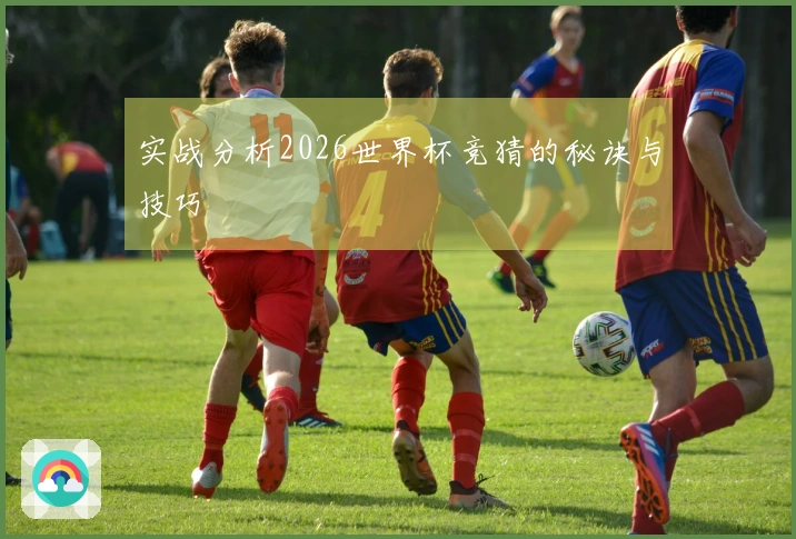 实战分析2026世界杯竞猜的秘诀与技巧