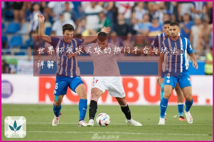 世界杯滚球买球的热门平台与玩法详解