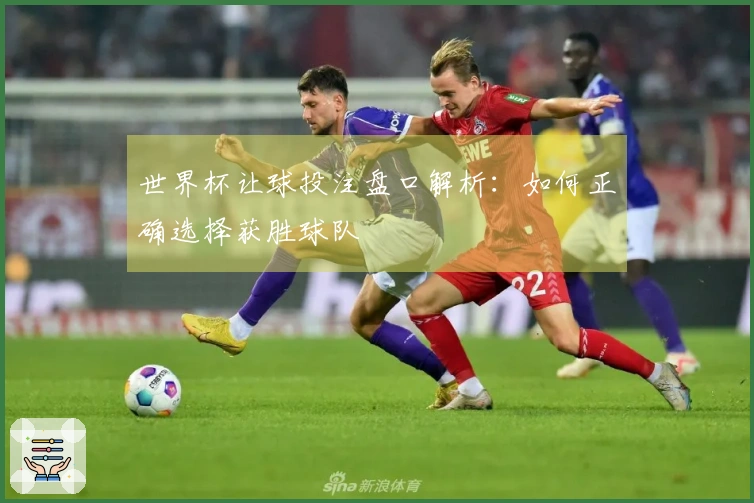 世界杯让球投注盘口解析：如何正确选择获胜球队